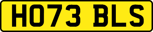 HO73BLS