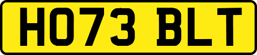 HO73BLT