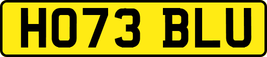 HO73BLU
