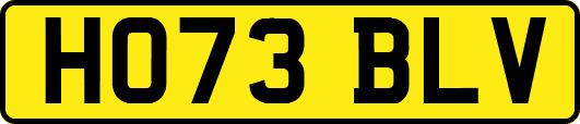 HO73BLV