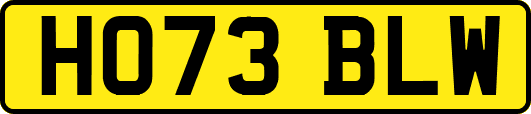 HO73BLW