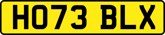 HO73BLX