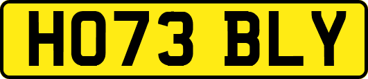 HO73BLY