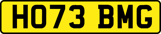 HO73BMG