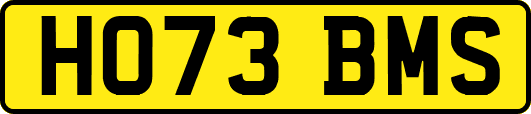 HO73BMS