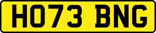 HO73BNG