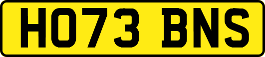 HO73BNS