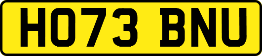 HO73BNU