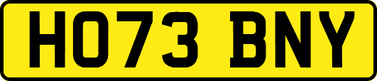 HO73BNY