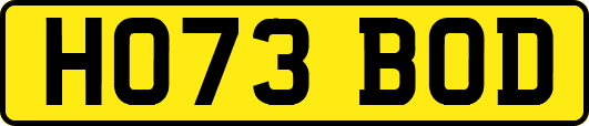 HO73BOD