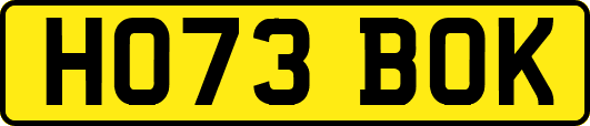 HO73BOK