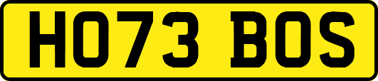HO73BOS