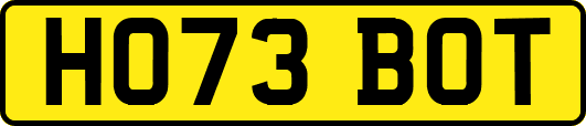 HO73BOT