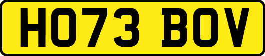 HO73BOV