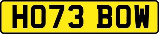 HO73BOW