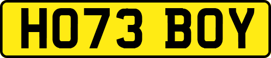 HO73BOY