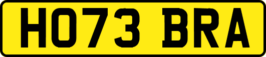 HO73BRA