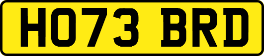 HO73BRD