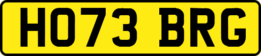 HO73BRG