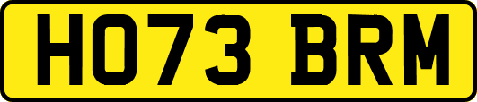 HO73BRM