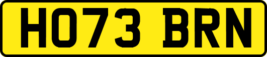 HO73BRN