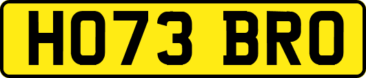 HO73BRO