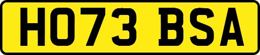 HO73BSA