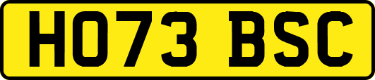 HO73BSC