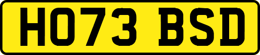 HO73BSD