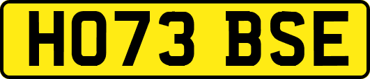HO73BSE