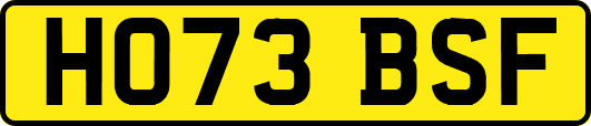 HO73BSF