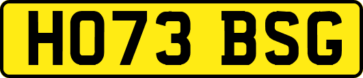 HO73BSG