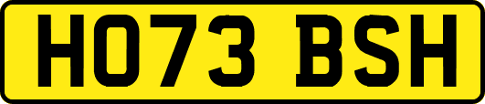 HO73BSH