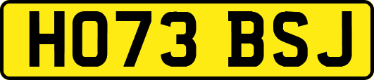 HO73BSJ