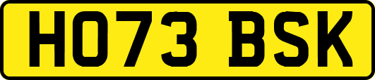 HO73BSK