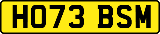 HO73BSM