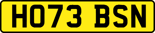 HO73BSN