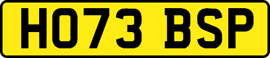 HO73BSP