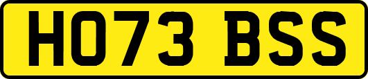HO73BSS