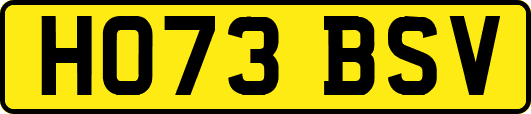 HO73BSV