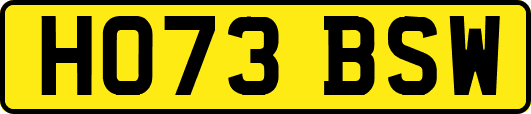 HO73BSW
