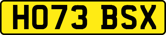 HO73BSX