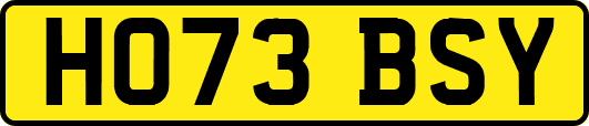 HO73BSY