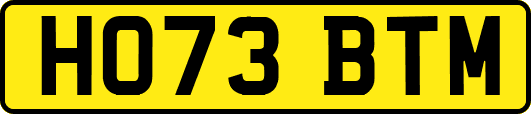 HO73BTM