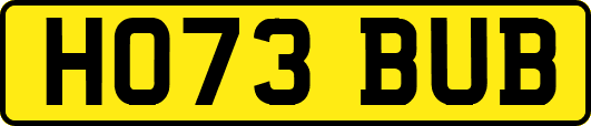 HO73BUB