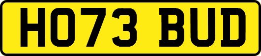 HO73BUD