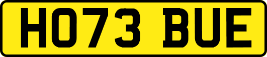 HO73BUE