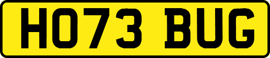 HO73BUG