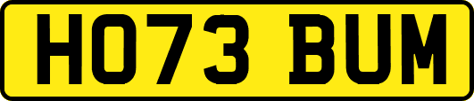 HO73BUM