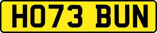 HO73BUN